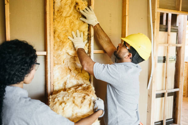 Eco-Friendly or Green Insulation Solutions in Fox Crossing, WI